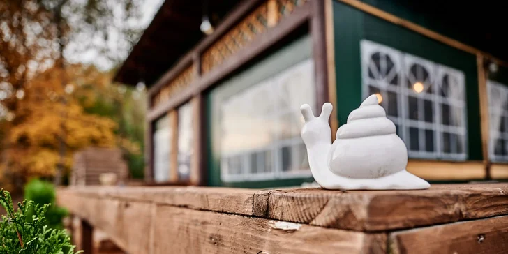 Degustační menu na šnečí farmě pro 2 osoby: grilovaní, uzení i wasabi šneci