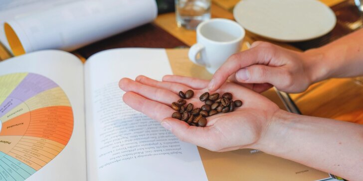 Kurzy přípravy kávy na profesionálním i domácím kávovaru či technika latte art