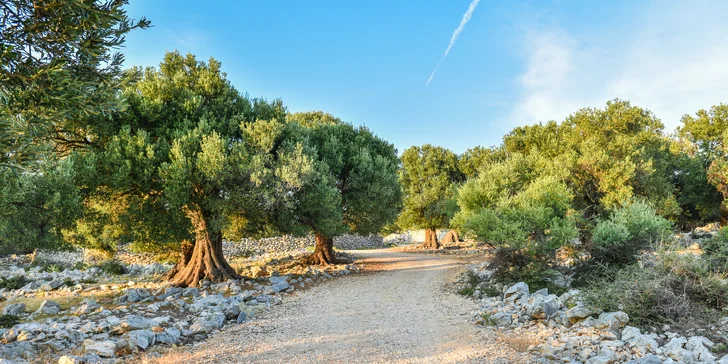 Krásná dvoupatrová vila pro 6 osob v Řecku na Chalkidiki. Bydlení u moře v naprostém soukromí