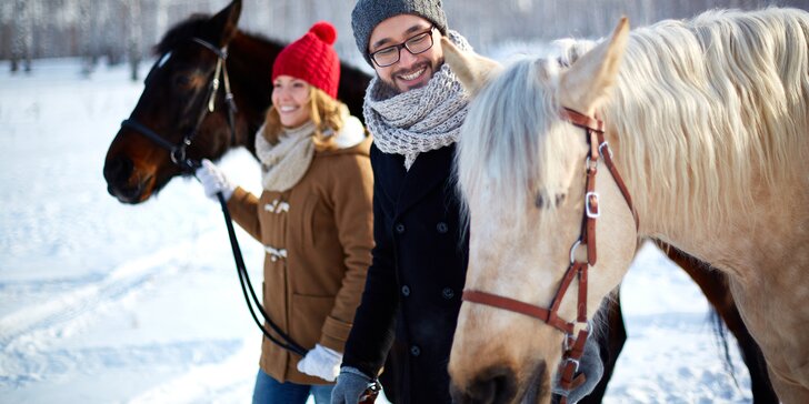 S koněm na procházku: péče, čištění i vodění koně pod dohledem koňáka