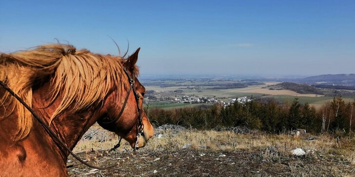 Relax na jesenickém ranči Orel: snídaně, privátní wellness i práce u koní, krmení a jízda v sedle