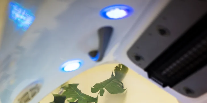 Multifunkční Spa systém: aromaterapie, masáže i sauna