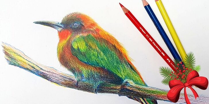 Online kurz Ptáček pastelkou moderně a od začátku: principy tvorby, 250 min. výkladu, neomezený přístup