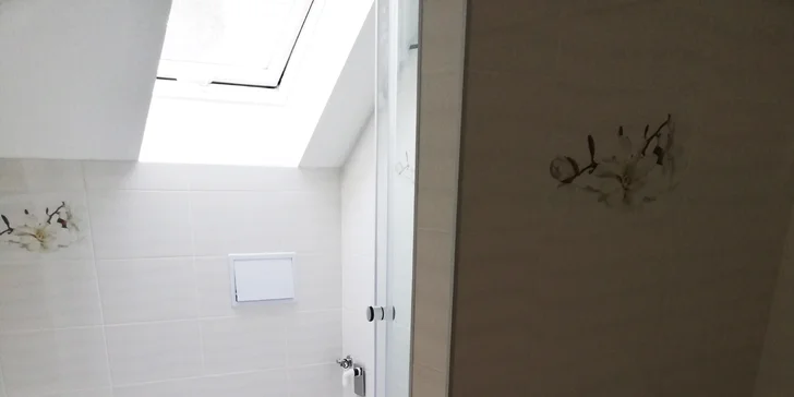 Úklid domácnosti v délce 3 hodin s dopravou zdarma