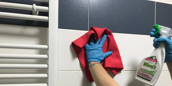 Profesionální úklid domácnosti: standardní i generální od 20 do 90 m²