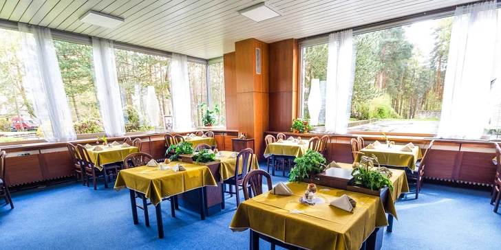 Jaro nebo podzim v hotelu u Máchova jezera s polopenzí i bazénem