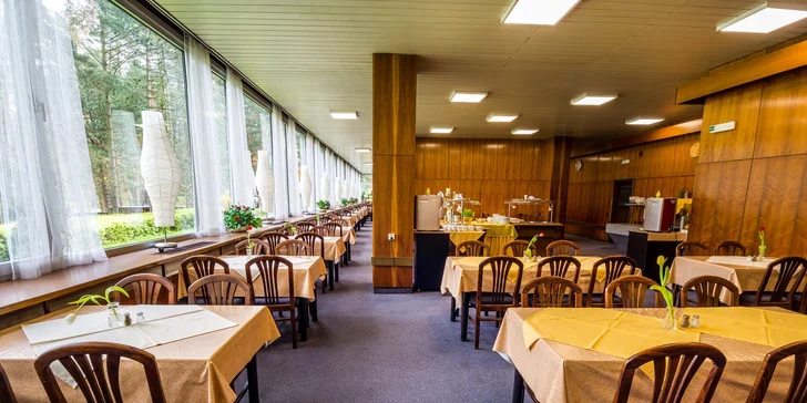 Jaro nebo podzim v hotelu u Máchova jezera s polopenzí i bazénem