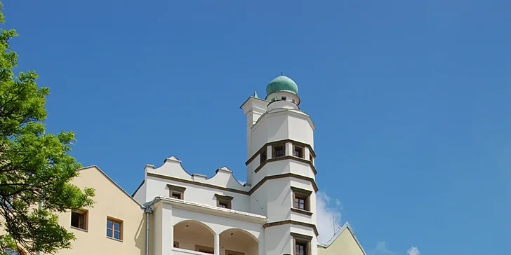 Vstup do Muzea loutkářských kultur – svět loutek českých i loutek Orientu