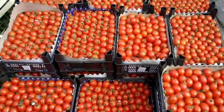 Bedýnky plné ovoce a zeleniny: 5–7 nebo 10–13 kg, osobní odběr i rozvoz