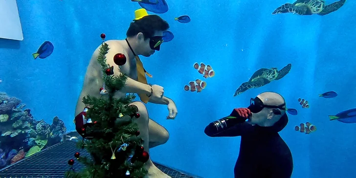 Kurz freedivingu v 8 metrů hluboké jámě pro 1, pro 2 či celou rodinu