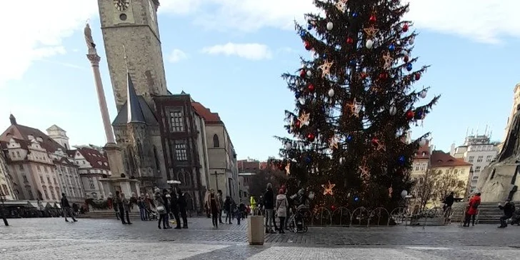 Podpořte Nadaci Leontinka: příspěvek na výcvik asistenčních psů pro děti s kombinovaným postižením