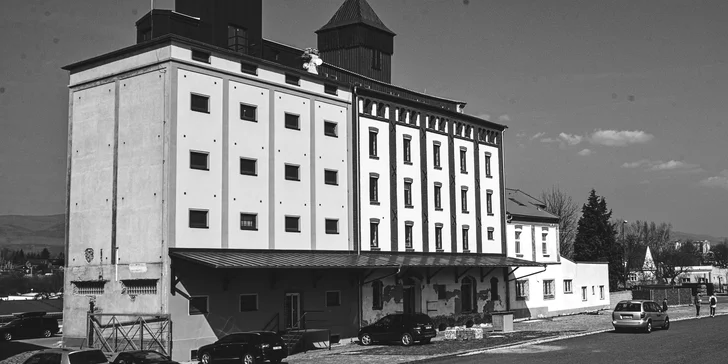 Focení v industriálním ateliéru či na fotopozadí: portrét a business foto