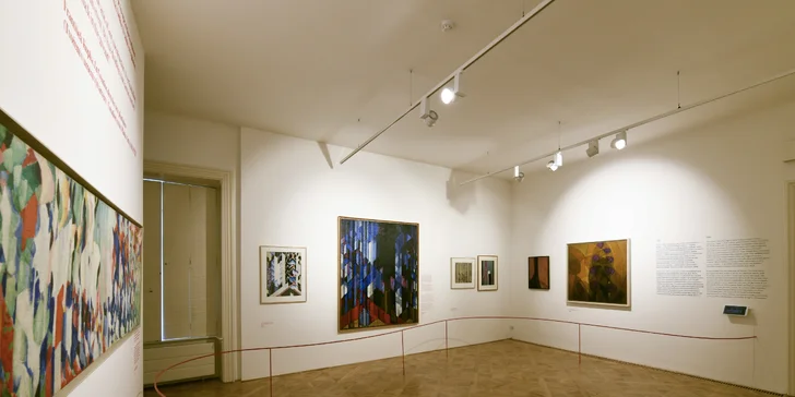 Celoroční vstupenka do Musea Kampa pro 1 osobu nebo rodinu: stálá expozice a všechny další výstavy