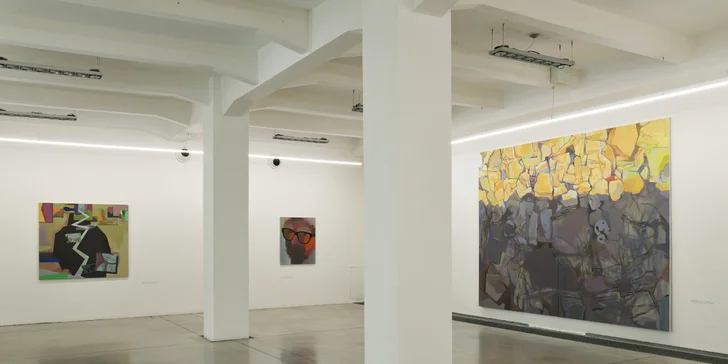 Celoroční vstupenka do Musea Kampa pro 1 osobu nebo rodinu: stálá expozice a všechny další výstavy