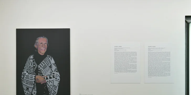 Celoroční vstupenka do Musea Kampa pro 1 osobu nebo rodinu: stálá expozice a všechny další výstavy
