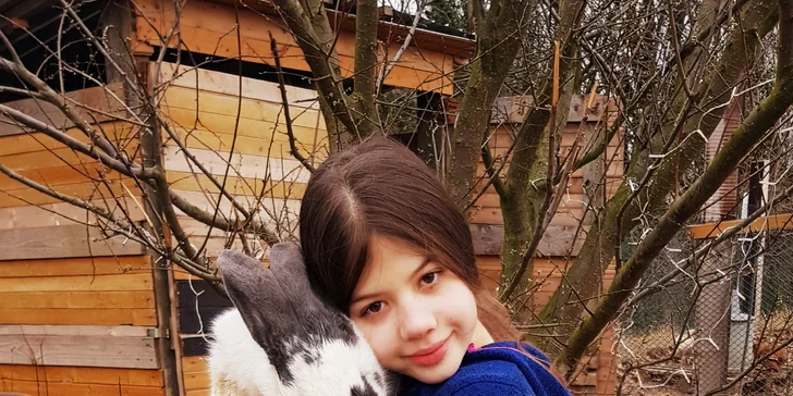 Podpořte komunitní zahradu Pastvina, bezpečný prostor pro lidi, rostliny i zvířata
