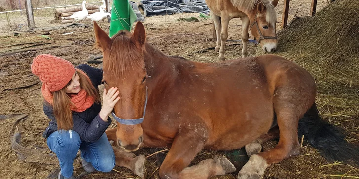Podpořte komunitní zahradu Pastvina, bezpečný prostor pro lidi, rostliny i zvířata