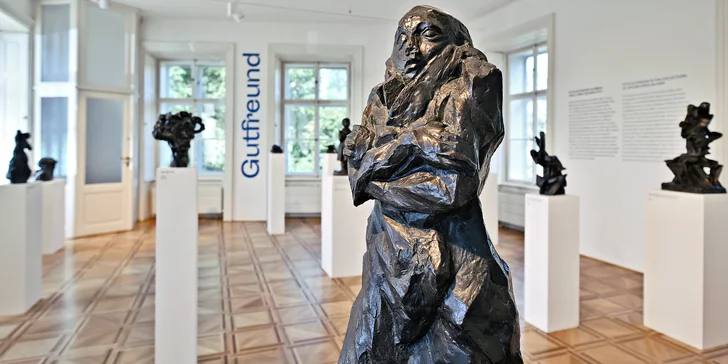 Celoroční vstupenka do Musea Kampa pro 1 osobu nebo rodinu: stálá expozice a všechny další výstavy