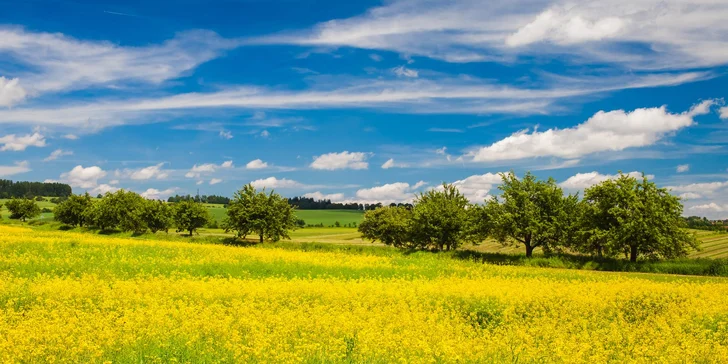 Stylová dovolená nedaleko Sedlčan: pohoda s polopenzí a výlety