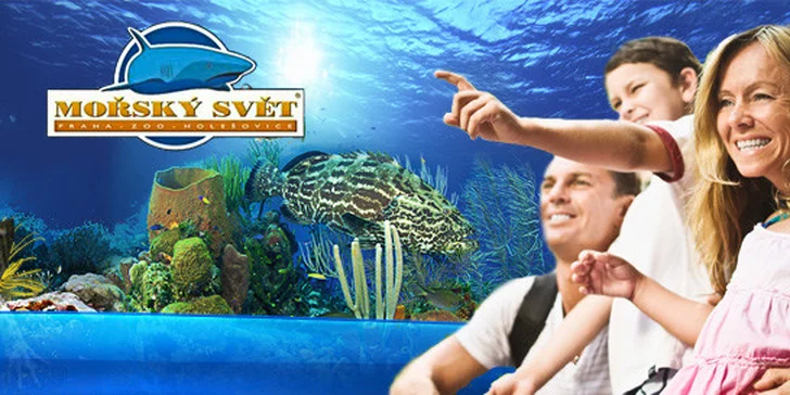 Rodinné vstupenky do Mořského světa pro dospělé i děti. Žraloci, želvy, piraně a spousta dalších živočichů a atrakcí!