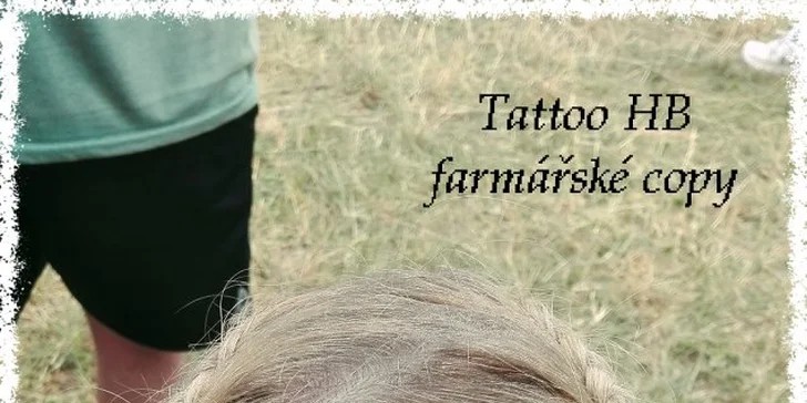 Dva farmářské copy s nápletem z kanekalonu: barva a délka dle výběru