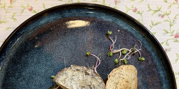 Menu o 3 či 4 chodech i s lahví vína, degustací destilátů či privátním wellness