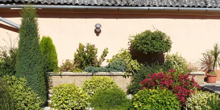 Okolí domu jako ze žurnálu: vizualizace zahrady od zkušených architektů