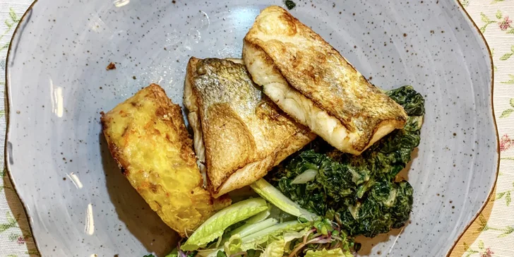 Menu o 3 či 4 chodech i s lahví vína, degustací destilátů či privátním wellness