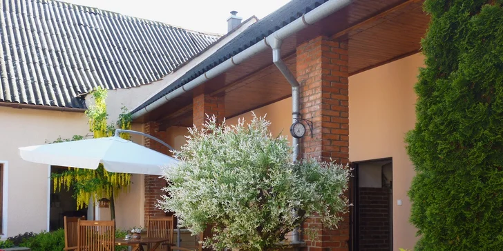 Okolí domu jako ze žurnálu: vizualizace zahrady od zkušených architektů