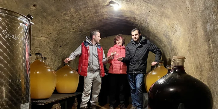 Posezení v moravském sklípku: řízená degustace, neomezená konzumace i lahev domů