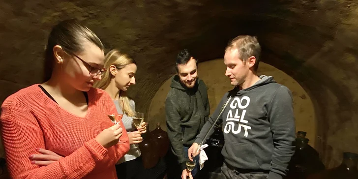 Posezení v moravském sklípku: řízená degustace, neomezená konzumace i lahev domů