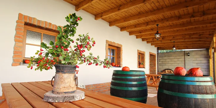 Dovolená na Moravě pro pár: penzion v Mikulově, degustace a košík s dobrotami