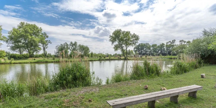 Komfort v sepětí s přírodou Polabí: domek s noclehem až pro 14 osob, terasa u jezírka a zahrada, zvířátka