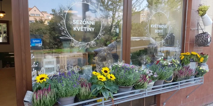 Květinové boxy dle výběru: osobní vyzvednutí nebo doprava zdarma