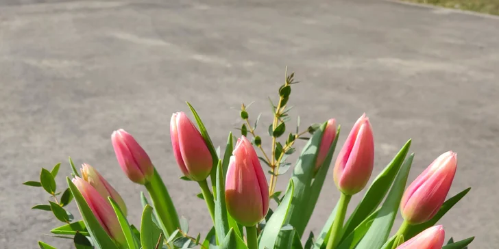 Kytice pro radost: 10–25 tulipánů s přízdobou, osobní vyzvednutí v Ostravě
