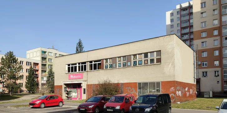 Kytice pro radost: 10–25 tulipánů s přízdobou, osobní vyzvednutí v Ostravě