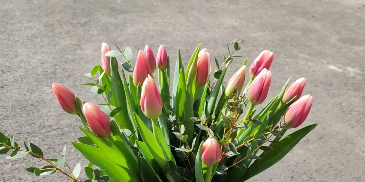 Kytice pro radost: 10–25 tulipánů s přízdobou, osobní vyzvednutí v Ostravě