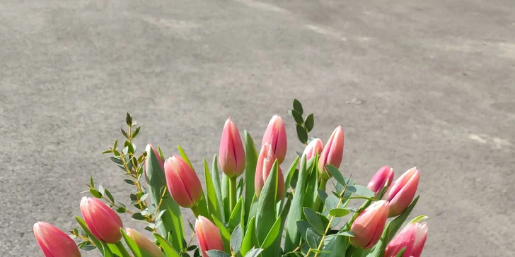 Kytice pro radost: 10–25 tulipánů s přízdobou, osobní vyzvednutí v Ostravě