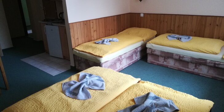 Pobyt v Orlických horách až pro 5 osob: snídaně, sauna i koupací sud