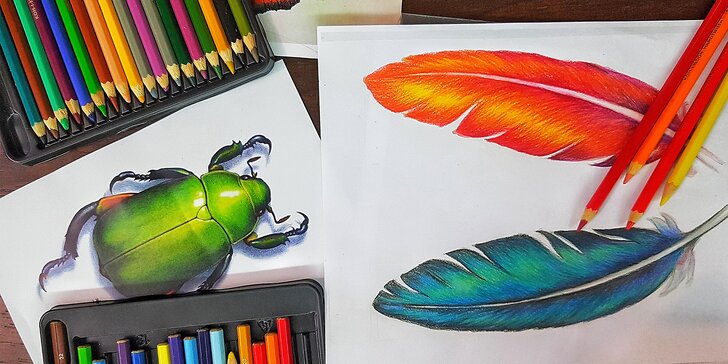 Online kurzy pro vaši kreativitu: naučte se kreslit ptáčka či motýla i pravou hemisférou