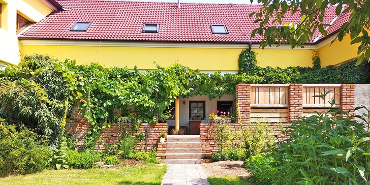 Vinařský pobyt na jižní Moravě: neomezená konzumace vína i vstup do sauny
