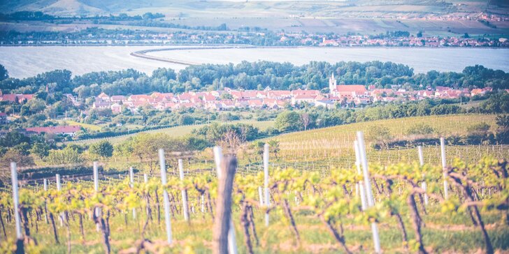 Pálavské odpoledne: neomezená konzumace vín, soutěž dovedností a večeře v jedné z nejkrásnějších vinic ČR