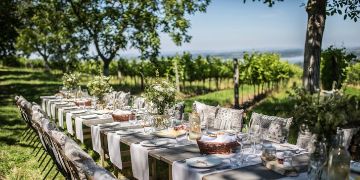 Pálavské odpoledne: neomezená konzumace vín, soutěž dovedností a večeře v jedné z nejkrásnějších vinic ČR