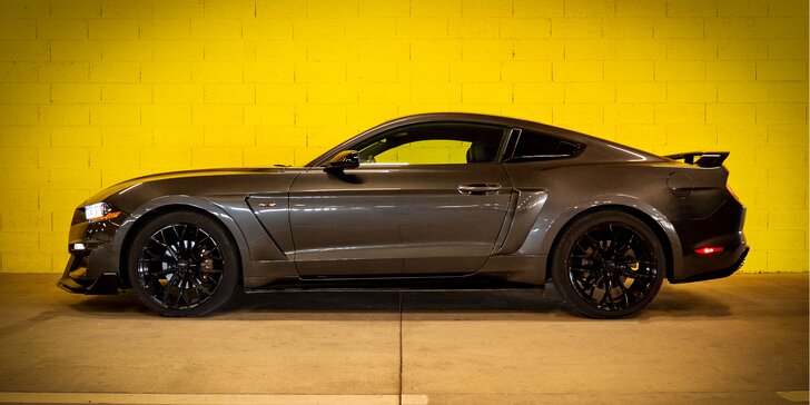 Zkroťte Mustanga: 20–50 min. řízení či spolujízdy nebo zapůjčení na 3 hod. bez instruktora