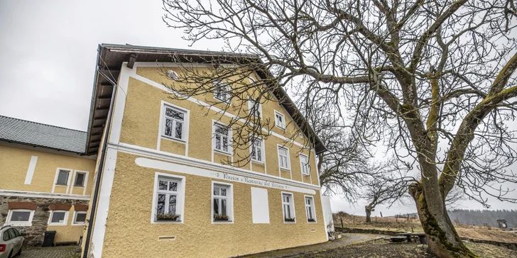 Krásy Šumavy: užijte si dovolenou s polopenzí ve stínu Boubínského pralesa