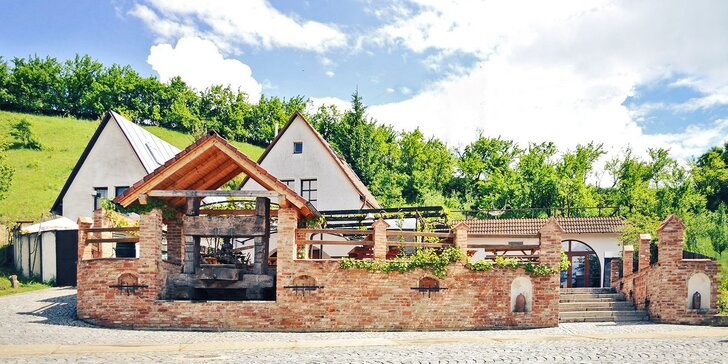 Pobyt v rodinném vinařství na jižní Moravě s polopenzí, vinným moštem i prohlídkou vinohradu