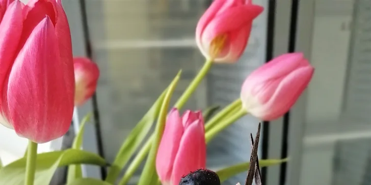 Výběr ze 2 druhů cupcakes: vanilkový s borůvkami a makový s ostružinami