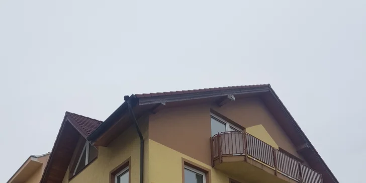 Tetování vlasů mikropigmentací: maskování koutů, kolečka na temeni atd.