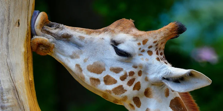 6hodinový online fotografický kurz: teorie, praktické focení i podpora po kurzu