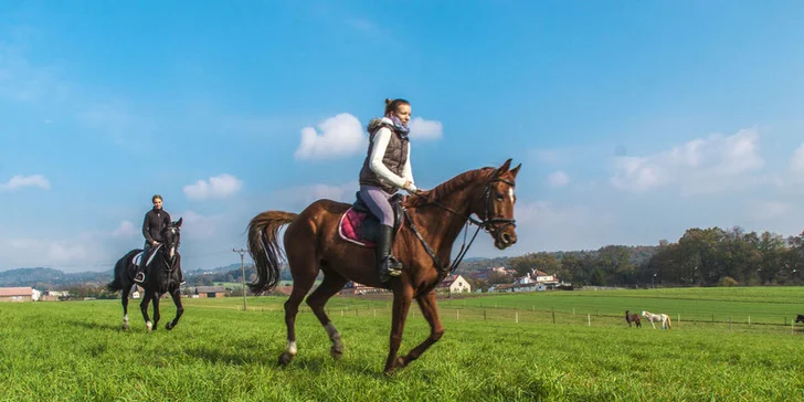 Pohoda u Olomouce: polopenze, wellness i neomezený vstup do bazénu